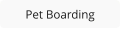 Pet Boarding