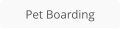 Pet Boarding