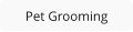 Pet Grooming