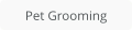 Pet Grooming